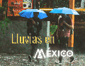 Octubre marca una fase de transición climática en México, esta es la cantidad de lluvia que podría caer. EL INFORMADOR / RCHIVO .
