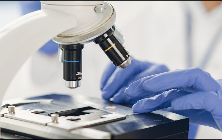 Este avance abre la posibilidad de que mujeres de mayor edad, o aquellas que no producen óvulos por distintas razones, puedan lograr una reproducción con material genético propio. ESPECIAL / CANVA