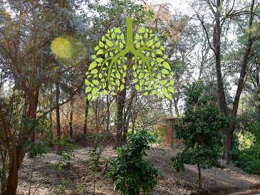 Conoc el índice de la calidad por zonas del AMG. EL INFORMADOR / ARCHIVO