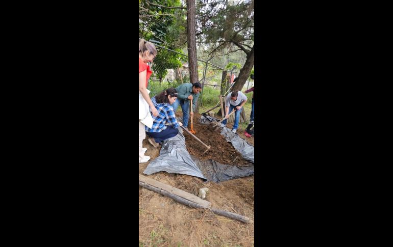 Bajo la dirección de Salvador Cosío Gaona, el IDEFT ha intensificado su presencia en zonas rurales. CORTESÍA