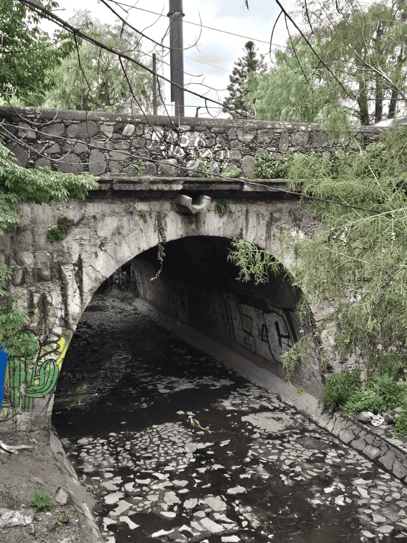 EL INFORMADOR / F. Salcedo 