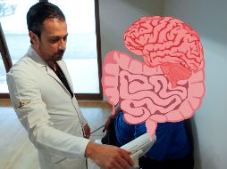 Esta sería la relación entre la salud de la microbiota y la capacidad de atención. EFE / ARCHIVO