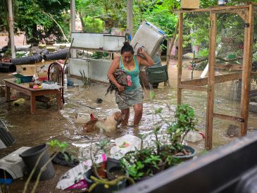 El Fonden ha sido tendencia en los últimos días debido a los daños causados por las intensas lluvias en regiones del centro y este de México. AFP / ARCHIVO