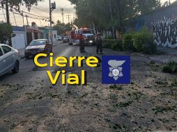 Se espera la llegada de personal de Parques y Jardines para el retiro total del árbol y normalizar la circulación. ESPECIAL / FACEBOOK Policía Vial Jalisco