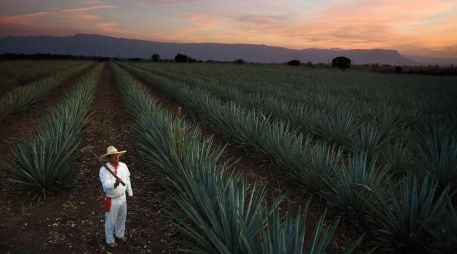 Durante la jornada se rendirá homenaje a los ganadores de la edición 2025 y se conmemorará el décimo aniversario del certamen 