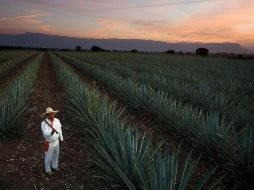 Durante la jornada se rendirá homenaje a los ganadores de la edición 2025 y se conmemorará el décimo aniversario del certamen 