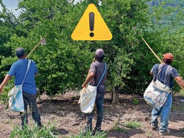 Expertos coincidieron en que denunciar la extorsión en algunas regiones de México convierte a los ciudadanos en blanco para la delincuencia organizada. SUN / ARCHIVO