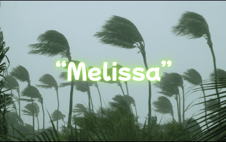 El SMN concluyó que la tormenta tropical 