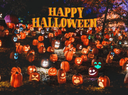 Descubre el verdadero origen del Halloween. UNSPLASH / S. VAN ELK