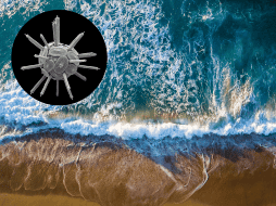 ¿Cómo el plancton calcificador beneficia al cambio climático? UNSPLASH / YURIY MLCN / ESPECIAL / REVISTA SCIENCE