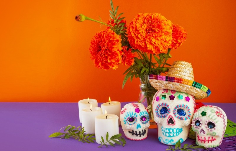 ESPECIAL / CANVA&nbsp;