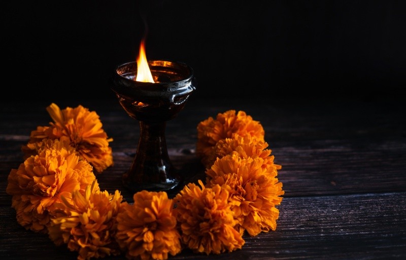 ESPECIAL / CANVA&nbsp;