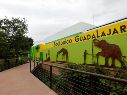 El Zoológico Guadalajara ha sido reconocido por contar con un hospital veterinario conocido como Centro Integral de Medicina y Bienestar Animal que ofrece servicios que pueden atender desde una tortuga hasta un león. EFE / F. Guasco