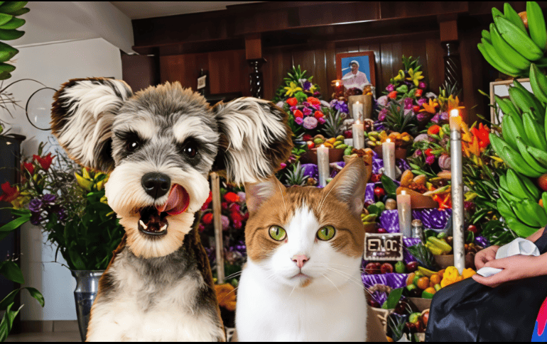 Te compartimos algunos de los más lindos y enternecedores que ya circulan por redes sociales para que te inspires y también honres a tu mascota. UNSPLASH / A. Nee / Z. Jonker / SUN / ARCHIVO