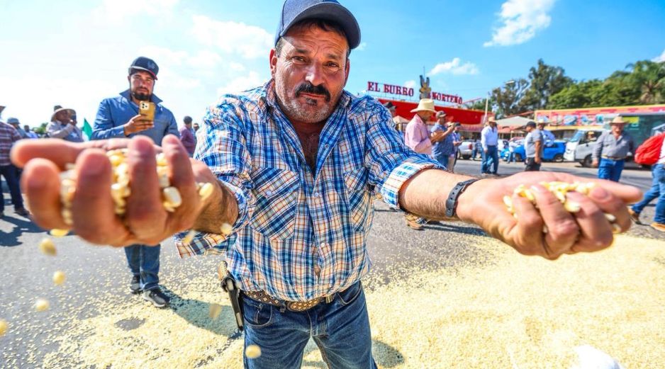 La dependencia del Gobierno Federal ofreció a los productores de maíz llegar a los 6,050 pesos por tonelada, crédito a los productores y seguro agropecuario. EL INFORMADOR/ A. Navarro