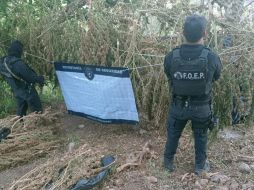 De forma extraoficial se supo que lo decomisado podría ascender a, al menos, 11 millones de pesos. ESPECIAL / Secretaría de Seguridad