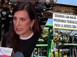 López Rabadán afirmó que acompaña la consigna “sin maíz no hay país”, pero considera que sin apoyo no hay desarrollo. EL INFORMADOR / ARCHIVO / ESPECIAL / Cámara de Diputados