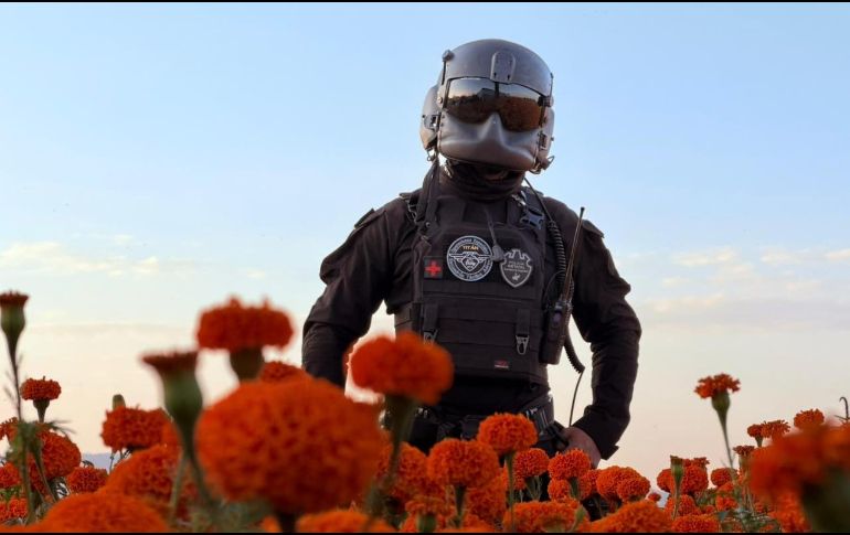 Entre enero de 2019 y abril de 2025, 149 policías en territorio jalisciense han sido asesinados mientras se encontraban en servicio activo. ESPECIAL / Policía del Estado