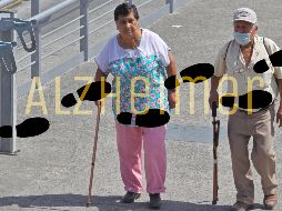 Los investigadores analizaron los datos de 296 participantes de entre 50 y 90 años del Estudio sobre el Envejecimiento Cerebral de Harvard. EL INFORMADOR / ARCHIVO