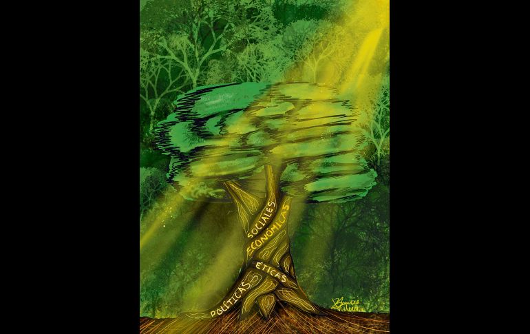 Un verdadero aprendizaje ambiental debe ser por definición crítico y empoderador. CORTESÍA/Valeria Berrrueco