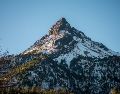 El otoño en los bosques jaliscienses es una experiencia sensorial, se escuchan los grillos y los pájaros, se siente el crujir de las hojas bajo los pies, se huele la resina y la madera húmeda. CORTESÍA / Gobierno de Zapotlán
