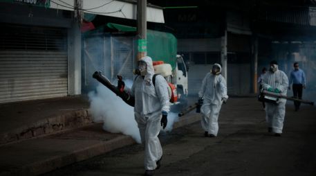 Destacan la labor de brigadas de prevención. EL INFORMADOR/Archivo