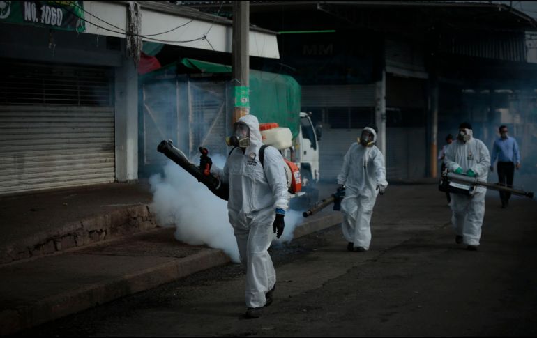 Destacan la labor de brigadas de prevención. EL INFORMADOR/Archivo