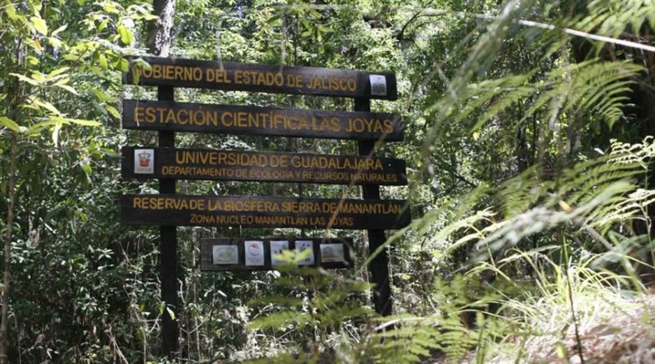 Cuidar este sitio implica más que una visita respetuosa: es apoyar proyectos comunitarios, contratar guías locales, seguir los senderos establecidos, evitar cualquier actividad que implique basura o extracción de flora y fauna. UNIVERSIDAD DE GUADALAJARA