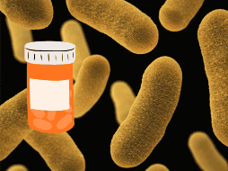 Un estudio científico demuestra que se puede utilizar un fármaco para eliminar bacterias infecciosas. UNSPLASH / CDC