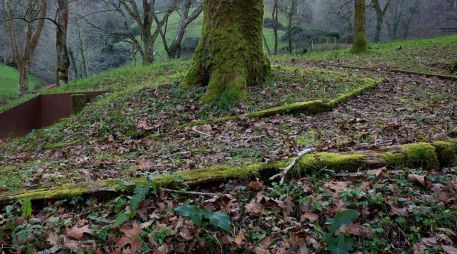 Mediante 34 piezas fotográficas, tres fotolibros y una videoinstalación, Pons ilumina aquello que ha sido silenciado en la memoria colectiva. ESPECIAL / ESPE PONS