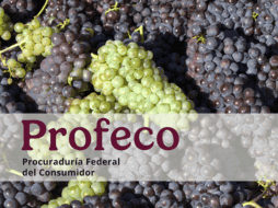 En la Revista del Consumidor de Diciembre 2025, Profeco resalta algunos de los beneficios  de comer uvas. ESPECIAL