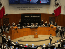 La presidenta de la Mesa Directiva del Senado, Laura Itzel Castillo, informó que se recibió la minuta y de inmediato ordenó la dispensa de los trámites para iniciar la discusión de la misma. SUN / D. SIMÓN