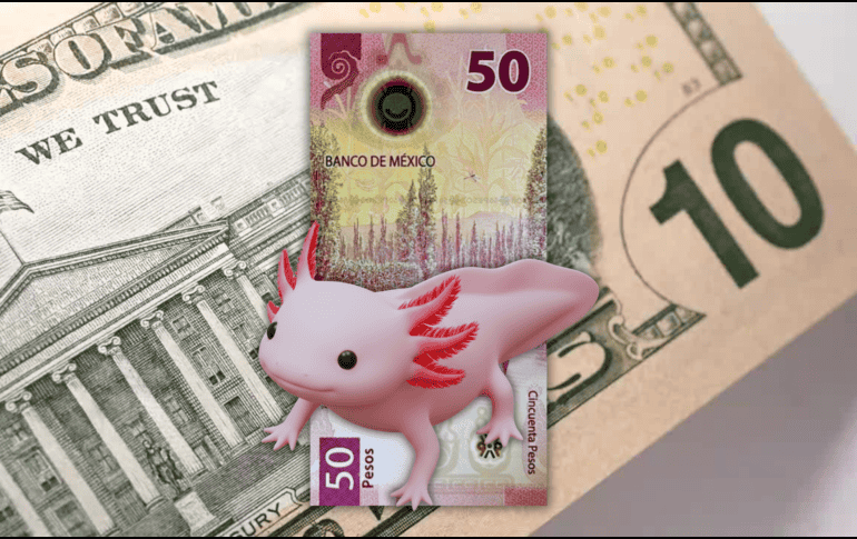 La divisa mexicana en los mercados internacionales concluyó alrededor de 18.18 pesos por dólar, lo que significó una apreciación de 0.63% o 12 centavos respecto al cierre del viernes anterior. ESPECIAL / CANVA