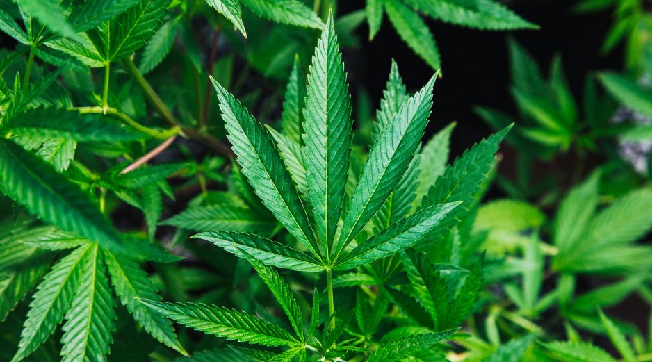 La cita para ser partícipe de este evento iniciará a las 04:20 pm. Unsplash