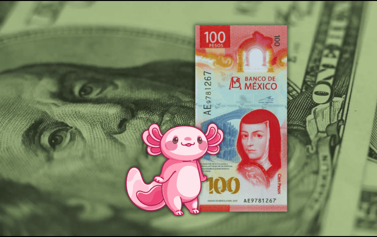 Es importante recordar que la cotización del dólar se actualiza a lo largo del día, por lo que es necesario revisarla constantemente si se requiere para alguna ejecución financiera. ESPECIAL / CANVA