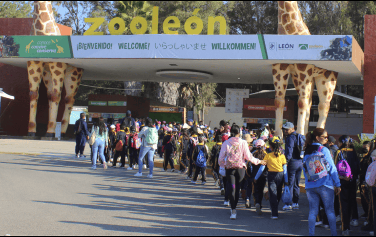 En la sesión ordinaria de este jueves, mencionó que el pasado mes de noviembre el director del Zoo León informó sobre la baja de 23 animales. ESPECIAL