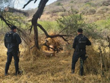 Elementos de la Fuerza de Operaciones Estratégicas de Protección Ciudadana de la Secretaría de Seguridad Jalisco localizaron las nueve armas de fuego. CORTESÍA/SSJ
