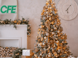 CFE subraya la importancia de adquirir únicamente productos que cuenten con el sello de la NOM. ESPECIAL