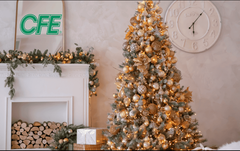 CFE subraya la importancia de adquirir únicamente productos que cuenten con el sello de la NOM. ESPECIAL