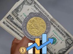 Este es el tipo de cambio del dólar hoy 11 de diciembre de 2025 en México. EFE / ARCHIVO