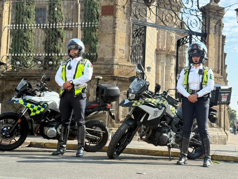 ESPECIAL / SECRETARÍA DE SEGURIDAD 
