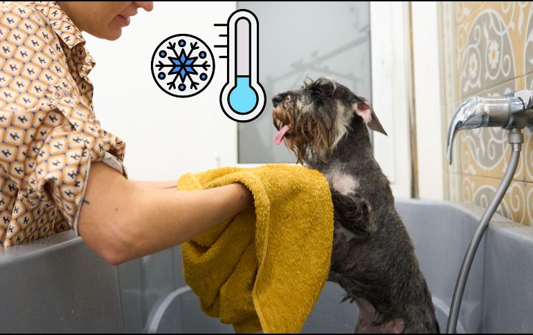 Durante los meses fríos, el baño continúa siendo parte fundamental de la higiene del perro. ESPECIAL / CANVA
