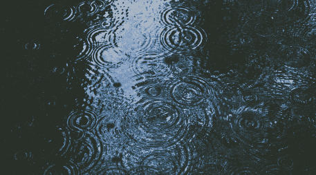 Para lo que resta del año, el IAM prevé temperaturas en rangos promedio. Unsplash