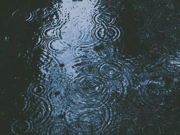 Para lo que resta del año, el IAM prevé temperaturas en rangos promedio. Unsplash