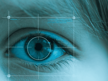 Con los datos se generará una base de datos nacional como herramienta central para fortalecer la búsqueda y localización de personas desaparecidas. CANVA