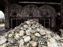 Lemus indicó que la FGR investiga todas las denuncias en torno a Diego Rivera Navarro, alcalde de Tequila. EL INFORMADOR / ARCHIVO