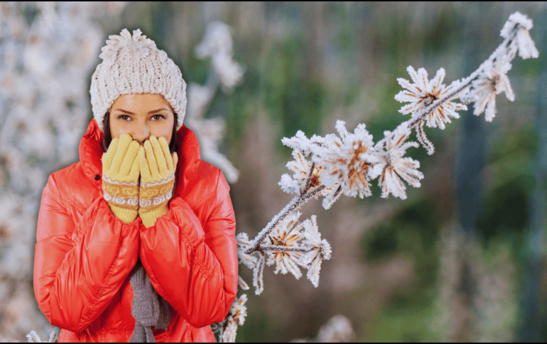 Durante la tarde, un nuevo frente frío se aproximará a la frontera noreste del territorio nacional. ESPECIAL / CANVA