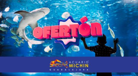 La entrada también incluye recorrido guiado por los pabellones, guía del explorador, acceso a camas elásticas y laser tag.  ESPECIAL/ACUARIOMICHIN