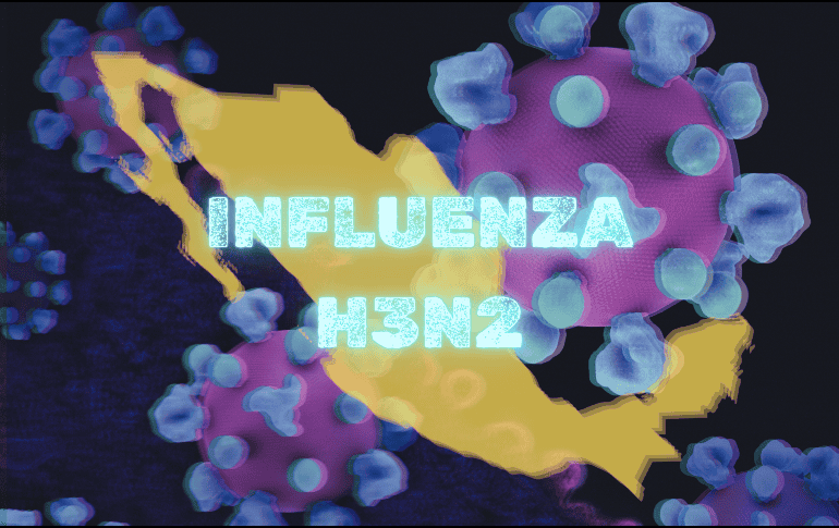 El H3N2 es una variante del virus de la influenza A, que provoca una infección respiratoria aguda y responsable de la gripe estacional a nivel global. UNSPLASH/National Institute of Allergy and Infectious Diseases