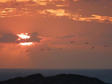 Según la OMM,  aunque "La Niña" tiene un efecto de enfriamiento, "se espera que muchas regiones sigan registrando temperaturas superiores a lo normal". EL INFORMADOR / ARCHIVO